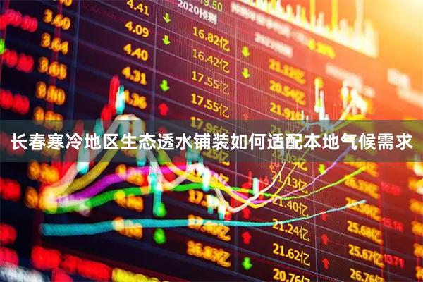 长春寒冷地区生态透水铺装如何适配本地气候需求