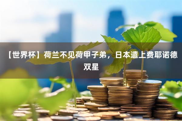 【世界杯】荷兰不见荷甲子弟，日本遣上费耶诺德双星